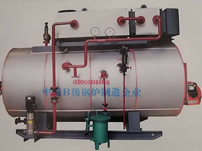 低氮冷凝蒸汽锅炉