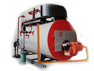 低氮冷凝蒸汽锅炉..